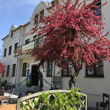 Eisenbock's Strasser Hof Hotel Strass (Waldviertel)