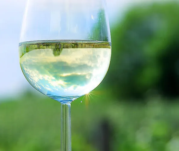 Eisenbock's Strasser Hof * Strass (Waldviertel)